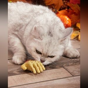 🧟‍♀️ Awesome Windup Zombie Hand Cat Chase Toy 🐈